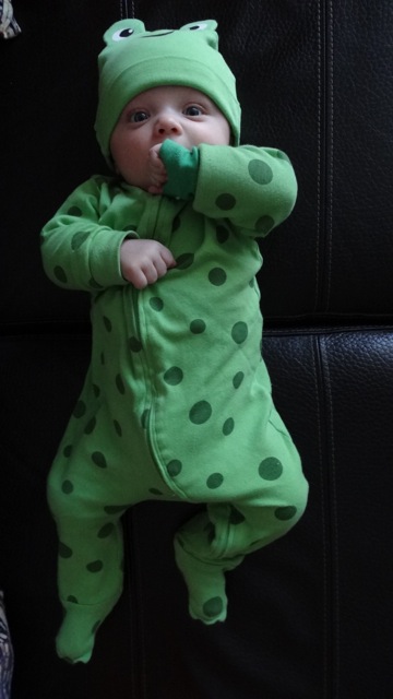 Crapaud ou grenouille?