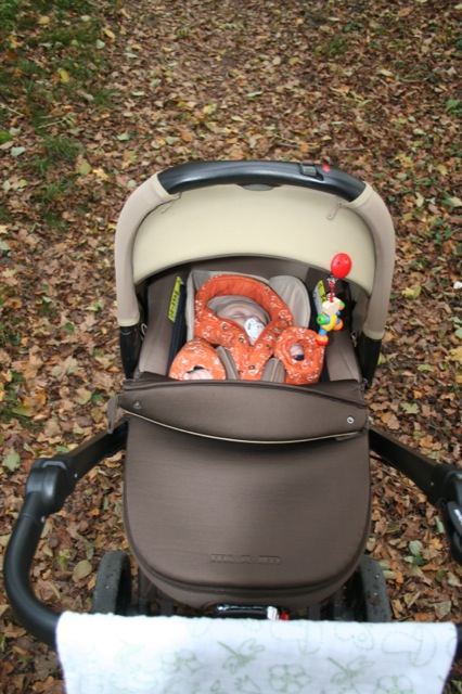 Promenons-nous au parcours de santé