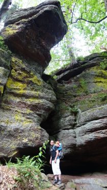 « Amis du Mont-Sainte-Odile »