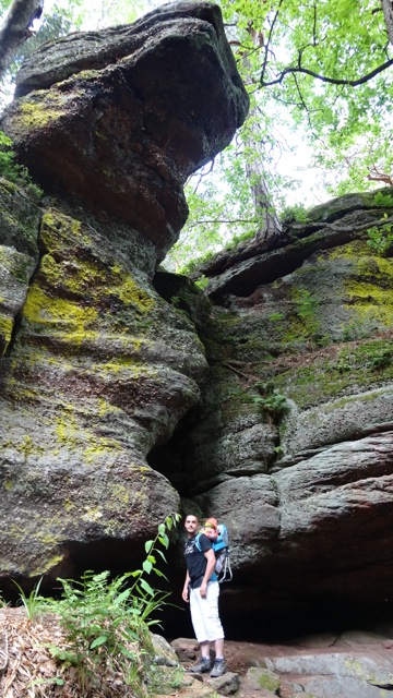 « Amis du Mont-Sainte-Odile »